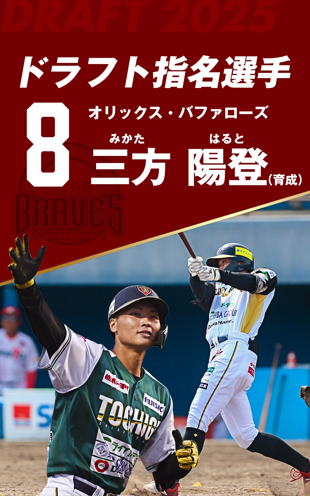 栃木ゴールデンブレーブス