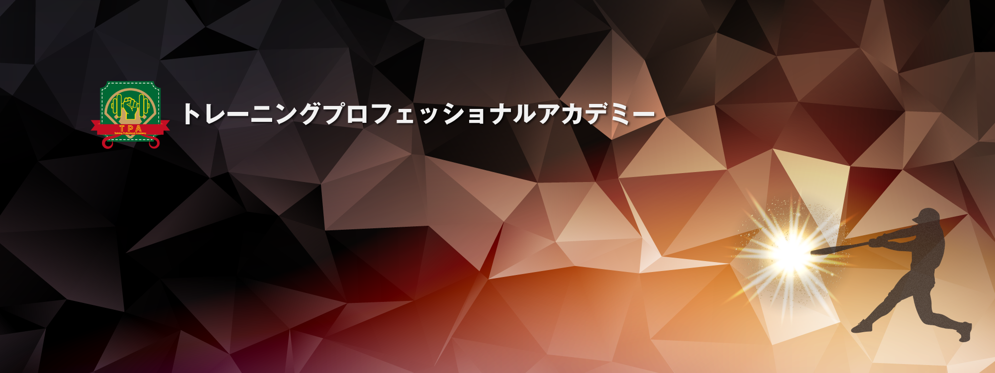 トレーニングプロフェッショナルアカデミー