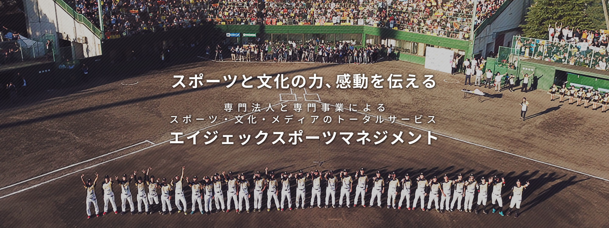 スポーツと文化の力、感動を伝える。専門法人と専門事業によるスポーツ・文化・メディアのトータルサービス エイジェックスポーツマネージメント